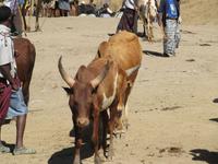 IMG_0890 &ndash; &copy; Britt Reuter-Bracklow (Eberhardt TRAVEL)