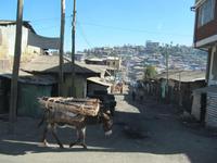 IMG_0940 &ndash; &copy; Britt Reuter-Bracklow (Eberhardt TRAVEL)