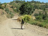 IMG_0964 &ndash; &copy; Britt Reuter-Bracklow (Eberhardt TRAVEL)