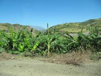 IMG_0970 &ndash; &copy; Britt Reuter-Bracklow (Eberhardt TRAVEL)