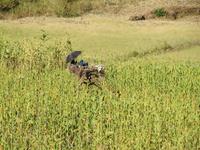 IMG_1041 &ndash; &copy; Britt Reuter-Bracklow (Eberhardt TRAVEL)