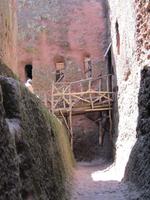 IMG_1208