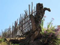 IMG_1215 &ndash; &copy; Britt Reuter-Bracklow (Eberhardt TRAVEL)