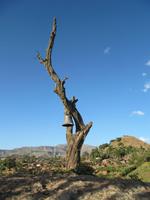 IMG_1506 &ndash; &copy; Britt Reuter-Bracklow (Eberhardt TRAVEL)