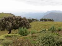 Simien-Nationalpark &ndash; &copy; Jürgen Schmeißer (Eberhardt TRAVEL)