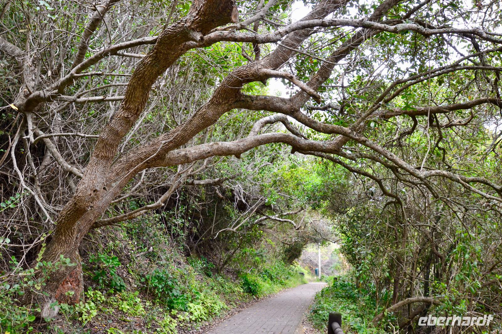 Südafrika Impressionen &ndash; &copy; Ngoc Anh Nguyen (Eberhardt TRAVEL)