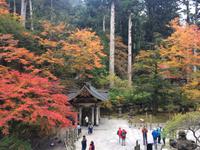 Japan - Nikko &ndash; &copy; Ngoc Anh Nguyen (Eberhardt TRAVEL)