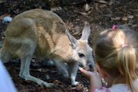 Australien Impressionen &ndash; &copy; Ngoc Anh Nguyen (Eberhardt TRAVEL)