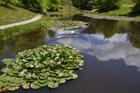 Neuseeland - Skulpturengarten &ndash; &copy; Ngoc Anh Nguyen (Eberhardt TRAVEL)