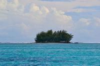 Französisch Polynesien - ein Mutu &ndash; &copy; Ngoc Anh Nguyen (Eberhardt TRAVEL)