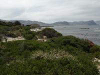 Boulders Beach &ndash; &copy; Philip Seidel (Eberhardt TRAVEL)