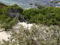 Boulders Beach &ndash; &copy; Philip Seidel (Eberhardt TRAVEL)