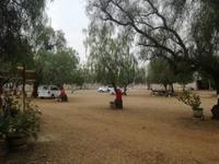 Strausenfarm &ndash; &copy; Philip Seidel (Eberhardt TRAVEL)