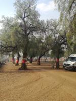Strausenfarm &ndash; &copy; Philip Seidel (Eberhardt TRAVEL)