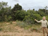 Kariega Nationalpark &ndash; &copy; Philip Seidel (Eberhardt TRAVEL)