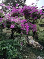 Hongkong &ndash; &copy; Philip Seidel (Eberhardt TRAVEL)