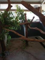 Australien Kuranda &ndash; &copy; Philip Seidel (Eberhardt TRAVEL)
