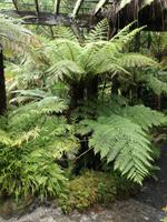 Auckland &ndash; &copy; Philip Seidel (Eberhardt TRAVEL)