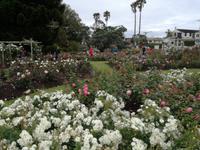 Auckland &ndash; &copy; Philip Seidel (Eberhardt TRAVEL)