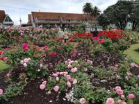 Auckland &ndash; &copy; Philip Seidel (Eberhardt TRAVEL)