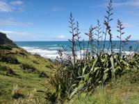 Matakana &ndash; &copy; Philip Seidel (Eberhardt TRAVEL)