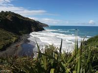 Matakana &ndash; &copy; Philip Seidel (Eberhardt TRAVEL)