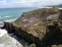 Matakana &ndash; &copy; Philip Seidel (Eberhardt TRAVEL)