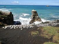 Matakana &ndash; &copy; Philip Seidel (Eberhardt TRAVEL)