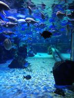 Auckland &ndash; &copy; Philip Seidel (Eberhardt TRAVEL)