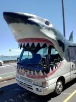 Auckland &ndash; &copy; Philip Seidel (Eberhardt TRAVEL)