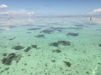 Moorea &ndash; &copy; Philip Seidel (Eberhardt TRAVEL)