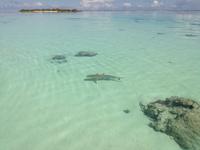 Moorea &ndash; &copy; Philip Seidel (Eberhardt TRAVEL)