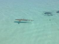 Moorea &ndash; &copy; Philip Seidel (Eberhardt TRAVEL)