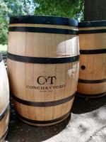 Weingut Concha y Toro &ndash; &copy; Philip Seidel (Eberhardt TRAVEL)