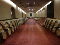 Weingut Concha y Toro &ndash; &copy; Philip Seidel (Eberhardt TRAVEL)
