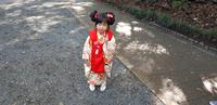 Tokio - Meji Schrein &ndash; &copy; Jacob Spangenberg (Eberhardt TRAVEL)