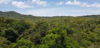 Gondelbahnfahrt - Cairns nach Kuranda &ndash; &copy; Jacob Spangenberg (Eberhardt TRAVEL)