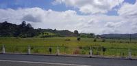 Fahrt zum BRICKSBAY Weingut  &ndash; &copy; Jacob Spangenberg (Eberhardt TRAVEL)