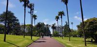 Stadtrundgang durch Auckland &ndash; &copy; Jacob Spangenberg (Eberhardt TRAVEL)
