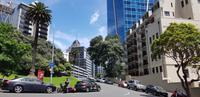 Stadtrundgang durch Auckland &ndash; &copy; Jacob Spangenberg (Eberhardt TRAVEL)