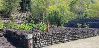 Inselrundfahrt auf Tahiti &ndash; &copy; Jacob Spangenberg (Eberhardt TRAVEL)