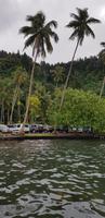 Inselrundfahrt auf Tahiti - Mittagessen im Paul Gauguin Restaurant  &ndash; &copy; Jacob Spangenberg (Eberhardt TRAVEL)