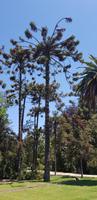 Weinverkostung im Concha Y Toro - Chile &ndash; &copy; Jacob Spangenberg (Eberhardt TRAVEL)