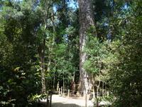 Tsitsikamma-Nationalpark &ndash; &copy; Benjamin Rodriguez Manzanares (Eberhardt TRAVEL)