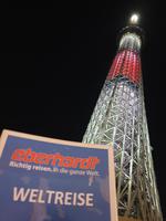 Tokio &ndash; &copy; Benjamin Rodriguez Manzanares (Eberhardt TRAVEL)