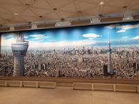 Tokio &ndash; &copy; Benjamin Rodriguez Manzanares (Eberhardt TRAVEL)