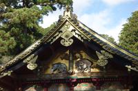 Nikko-Nationalpark &ndash; &copy; Benjamin Rodriguez Manzanares (Eberhardt TRAVEL)