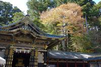 Nikko-Nationalpark &ndash; &copy; Benjamin Rodriguez Manzanares (Eberhardt TRAVEL)