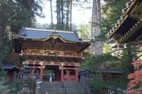Nikko-Nationalpark &ndash; &copy; Benjamin Rodriguez Manzanares (Eberhardt TRAVEL)