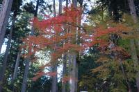 Nikko-Nationalpark &ndash; &copy; Benjamin Rodriguez Manzanares (Eberhardt TRAVEL)